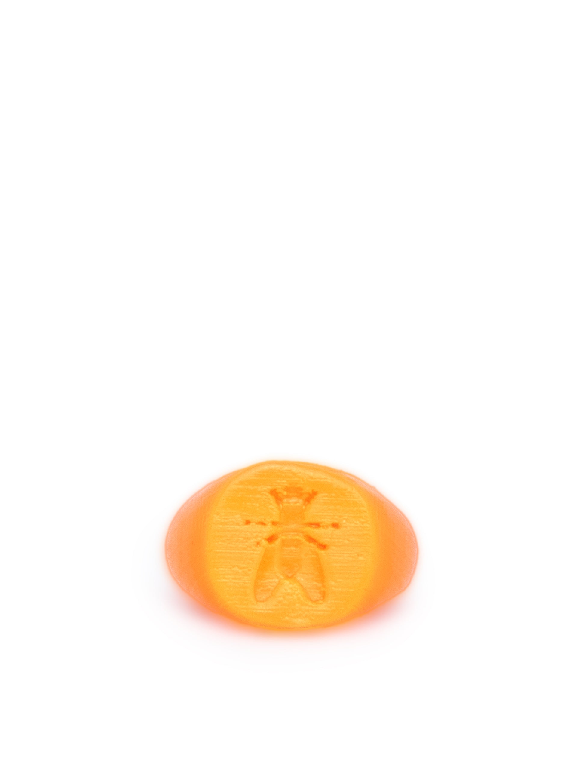 orange plastic ring with fly